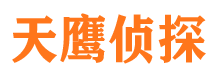 于田市调查公司